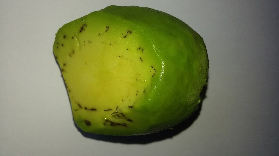 Palta hass, kilo