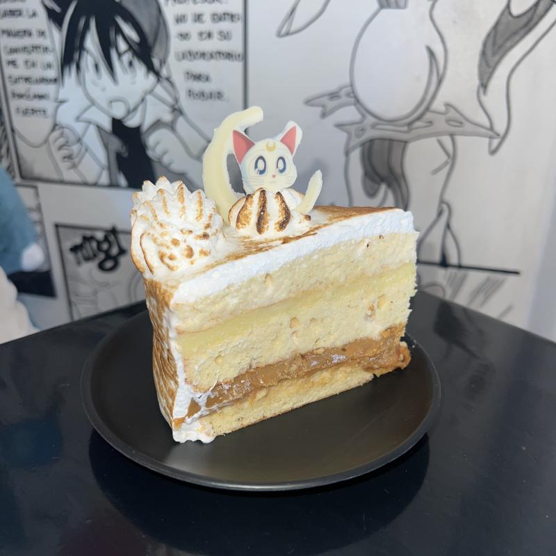 Artemis 4 leches